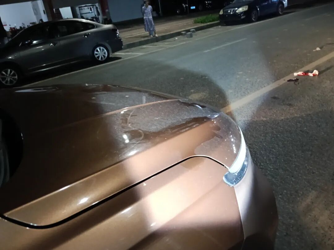 駕駛觀察禮讓行人_行車安全注意事項_路況