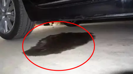 開車前繞車一周_雪天行車安全注意事項(xiàng)_出行提示