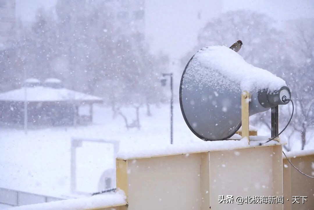雨雪天氣出行提示_雪天交通安全指南_出行提示