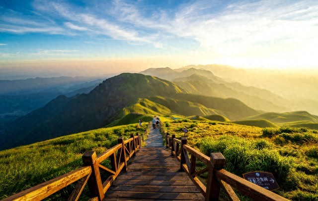 限行_2026新車牌改革_8位號(hào)牌分類標(biāo)識(shí)