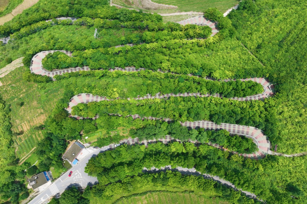 出行提示_農(nóng)村道路交通安全提示_駕駛?cè)顺鲂邪踩?/></p></div>
    <div   id="i45vtbx6"   class="clearfix"></div>
        <h5 class="post-tags"><span id="i45vtbx6"    class="glyphicon glyphicon-tags"></span> <a href="http://www.xiangchaochao.com/tags-7357.html" title="農(nóng)村交通安全">農(nóng)村交通安全</a><a href="http://www.xiangchaochao.com/tags-2648.html" title="交通安全提示">交通安全提示</a><a href="http://www.xiangchaochao.com/tags-8805.html" title="駕駛?cè)税踩?>駕駛?cè)税踩?/a><a href="http://www.xiangchaochao.com/tags-6889.html" title="行人安全">行人安全</a><a href="http://www.xiangchaochao.com/tags-8806.html" title="黔江交警">黔江交警</a></h5>
        <div   id="i45vtbx6"   class="alert alert-info p-copyright" role="alert">
        <p> 本站文章除注明轉(zhuǎn)載/出處外，均為本站原創(chuàng)或翻譯。若要轉(zhuǎn)載請務(wù)必注明出處，尊重他人勞動成果共創(chuàng)和諧網(wǎng)絡(luò)環(huán)境。 </p>
        <p> 轉(zhuǎn)載請注明 : 文章轉(zhuǎn)載自 ?<a href="http://www.xiangchaochao.com/" rel="bookmark" title="作者：admin"> 途訊交通網(wǎng) </a>?<a href="http://www.xiangchaochao.com/txfl-3.html" rel="bookmark" title="網(wǎng)站分類：出行攻略與工具"> 出行攻略與工具 </a> ?<a href="http://www.xiangchaochao.com/tx/13597.html" rel="bookmark" title="本文固定鏈接：http://www.xiangchaochao.com/tx/13597.html"> 10月16日黔江民警做客欄目解讀農(nóng)村道路交通安全要點 </a> </p>
    </div>
    <div   id="i45vtbx6"   class="clearfix"></div>
    <ul class="post-share-tools">
        <li><a href="javascript:;" class="share-tools praise" xv=