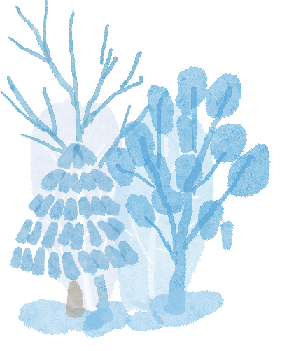 霧天行車安全_雪天行車安全_出行提示