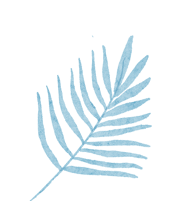 冰雪路面駕駛技巧_冬季雪霧天氣行車安全_出行提示